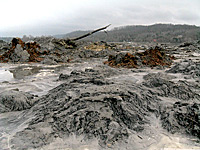 The TVA coal ash disaster last December unleashed billions of gallons of wet ash into nearby rivers
