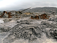 Coal ash deposits in the Emory River from the 2008 coal ash disaster in Harriman, TN