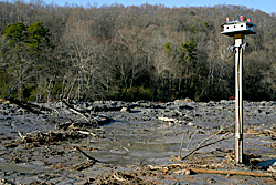 Coal ash from the TVA spill in Harriman, TN fills a former creekbed