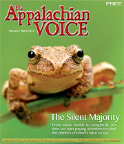 The Appalachian Voice, February 2013