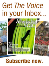 Get the Voice in your inbox - subscribe now