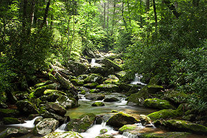Stream in Great Smoky Mountains Tennessee, photo by Christi Root