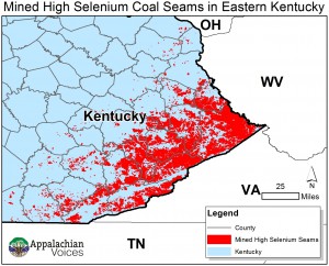Kentucky High Selenium Coal Seems