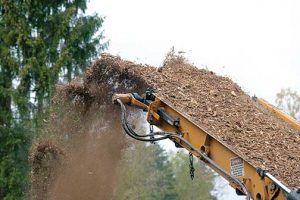 The uptick in woody biomass harvesting across the Southeast, partially driven by increased European demand for wood pellets, has set off a debate about how, and if, forest biomass can be harvested sustainably. Image copyright Kurmis/iStockPhoto
