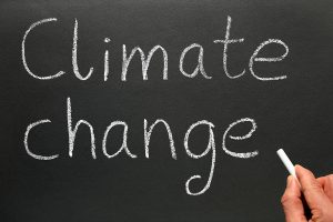 climate change on blackboard