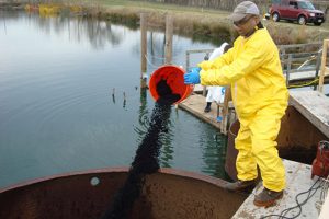 Scientists implement bioremediation techniques in an effort to reduce the volume of PCBs at the overflow pond in Altavista, Va. Photo by Kevin Sowers