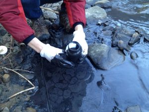 Erin Savage of Appalachian Voices collects a sample from Fields Creek following the 2014 slurry spill. Testing revealed high levels of contaminants including MCHM. 