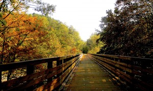 Autumn colors emerge along this bike-friendly wooden bridge. Photo courtesy of the Dawkins Line Rail Trail