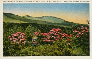 Image of Great Smoky Mountains National Park, left, presumed to be by George Masa, and postcard of Mt. Mitchell, above, made from George Masa photograph. Photos courtesy North Carolina Collection, Pack Memorial Public Library, Asheville, N.C.