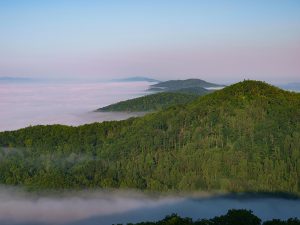 The U.S. Forest Service owns 1.6 million acres in Virginia. Overlooking Jefferson National Forest, Dickenson County. Photo by Bill Harris, billharrisphotography@comcast.net 