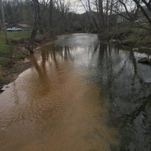 With support from local residents, the Appalachian Water Watch is responding to coal pollution events like the recent spill along Pine Creek in Letcher County, Ky.