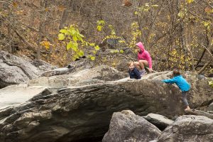 Tom's children on a recent hike to the family's favorite mountain stream near Charlottesville, Va. 