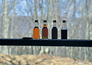Different grades of maple syrup are displayed in a window. Photo by David Bruce.
