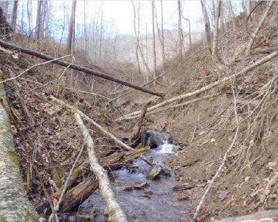 Damaged stream area of Lower Dempsey Branch