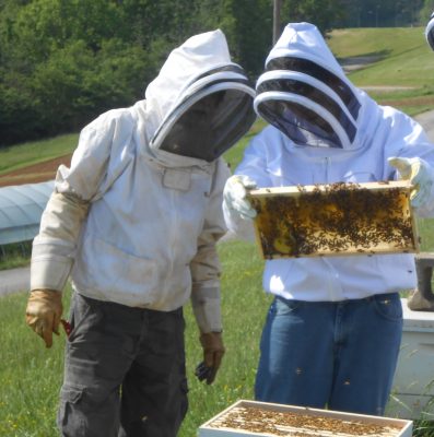 Bee keepers in Claiborne Co., Tenn.