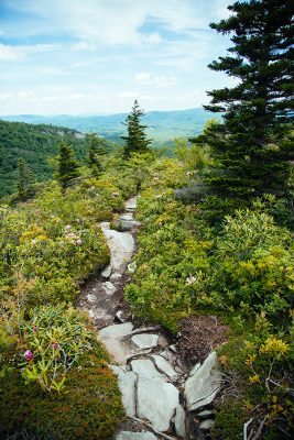 rocky trail at the peak of the mountain