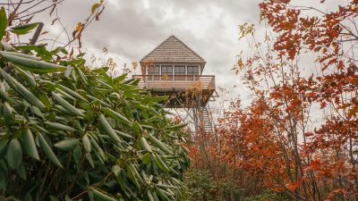 Lookout tower above the trees