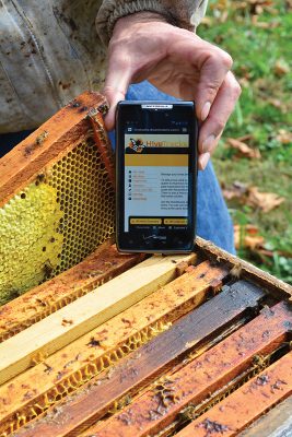 beekeeping software