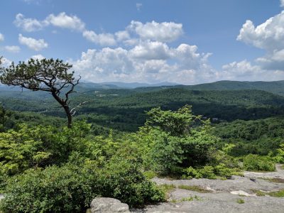 View of Pisgah National Forest