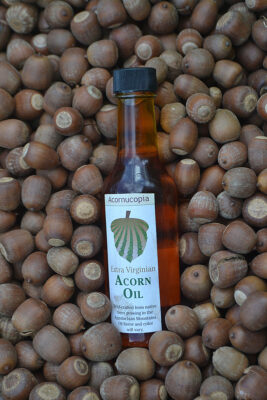 acorn oil