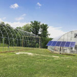 solar array by greenhouse