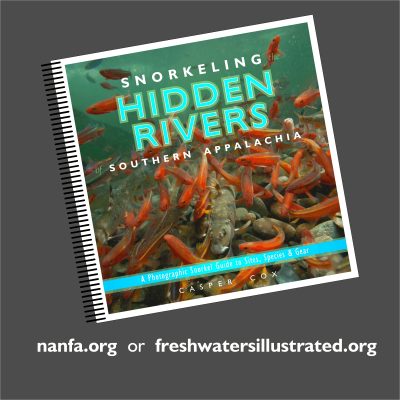 Cover of the book "Snorkeling Hidden Rivers Southern Appalachia"