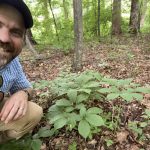 smiling man crouches near ginseng plants in the forest