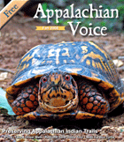 2008 - Issue 6 (October)