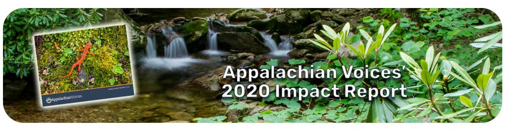 Our 2020 Impact Report is now online
