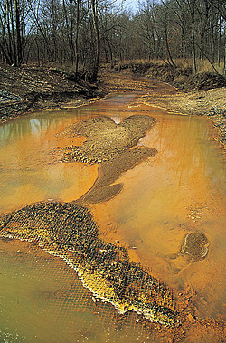 Acid mine drainage from the Sewanee coal seam 
