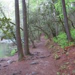 Abrams Fall Trail