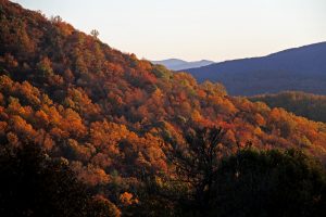 Appalachia's public lands and facilities, such as the Blue Ridge Parkway and Pisgah National Forest, generate striking autumn views that attract seasonal tourists. Photo by Jamie Goodman