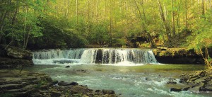 Visitors can reach Mash Fork Waterfalls by an easily accessible route or a challenging hike. Photo courtesy WVExplorer.com