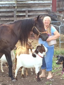 Carol Rollman with some of her barnyard companions. 