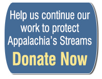 Donate now to help us continue to protect Appalachian streams