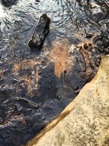 Coal Slurry Spill