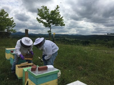 beekeepers with hives