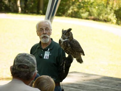 owl presentation 