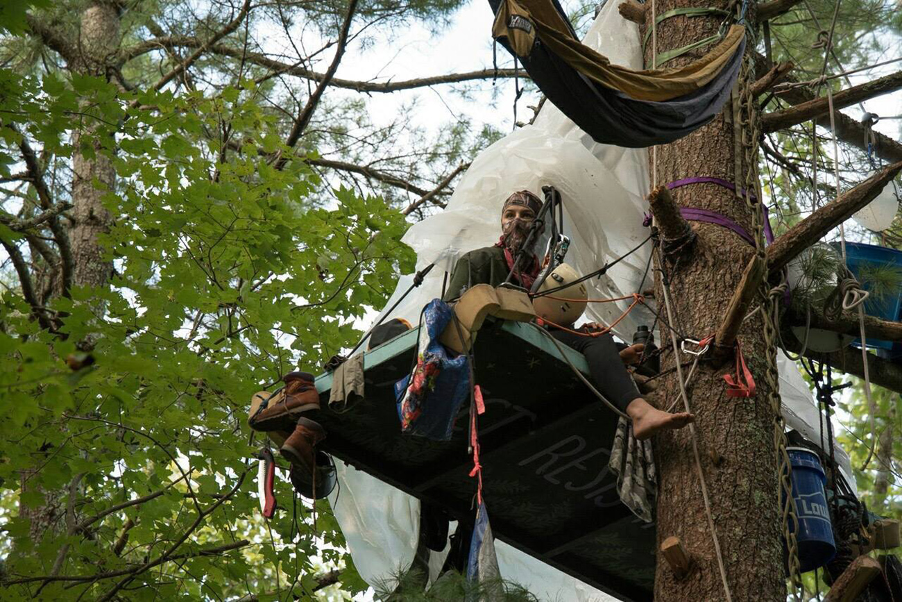 Tree-sit in path of Mountain Valley Pipeline