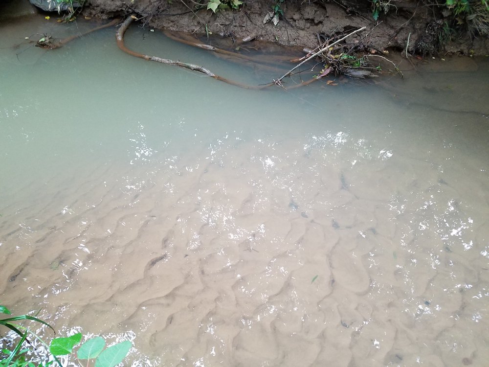 polluted stream