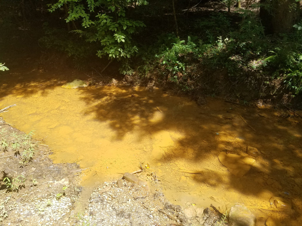 creek flowing yellow