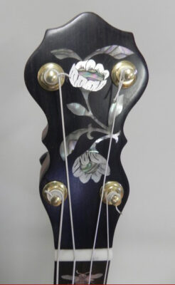 headstock of a cello banjo