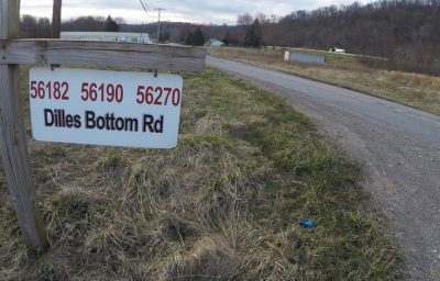 road leading through a grassy field