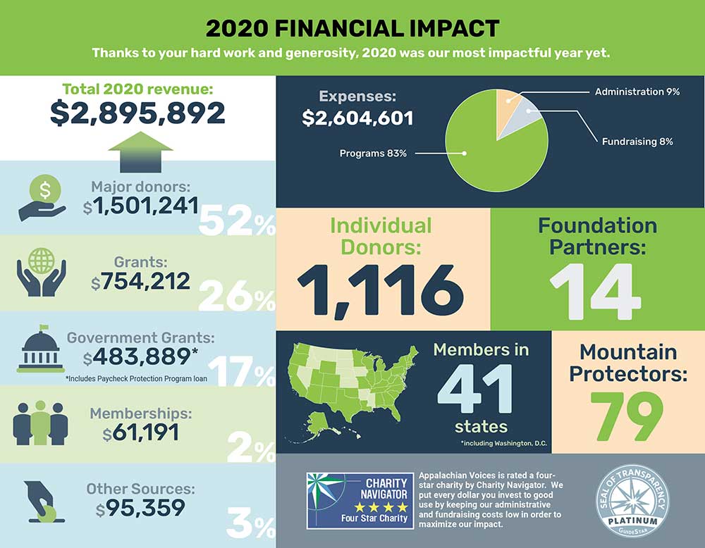 A summary of our 2020 financial impact. For a readable version, click through to the PDF