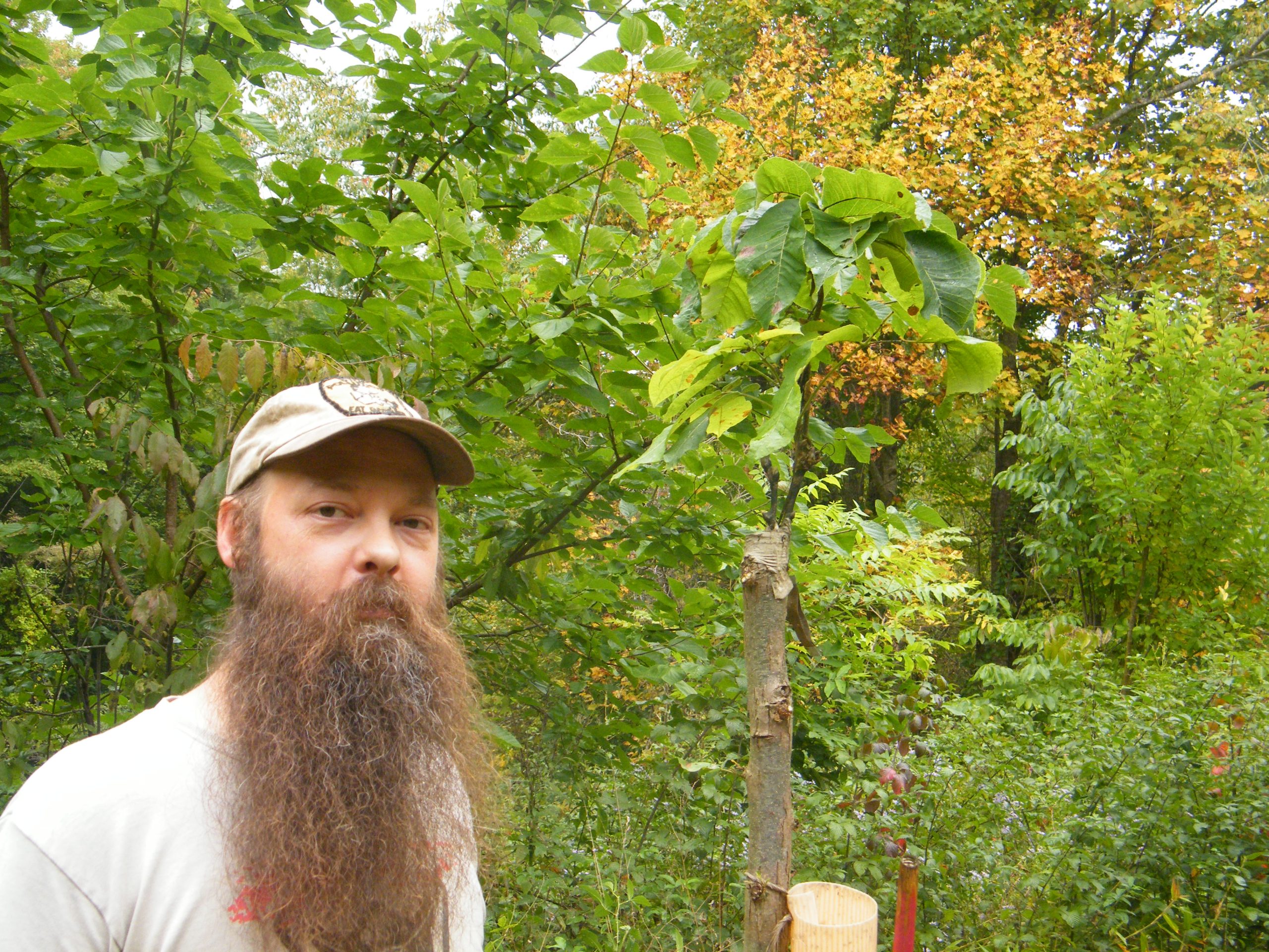 Man with beard and hat stands near a thin tree trunk with younger-looking branches and leaves sprouting from the top