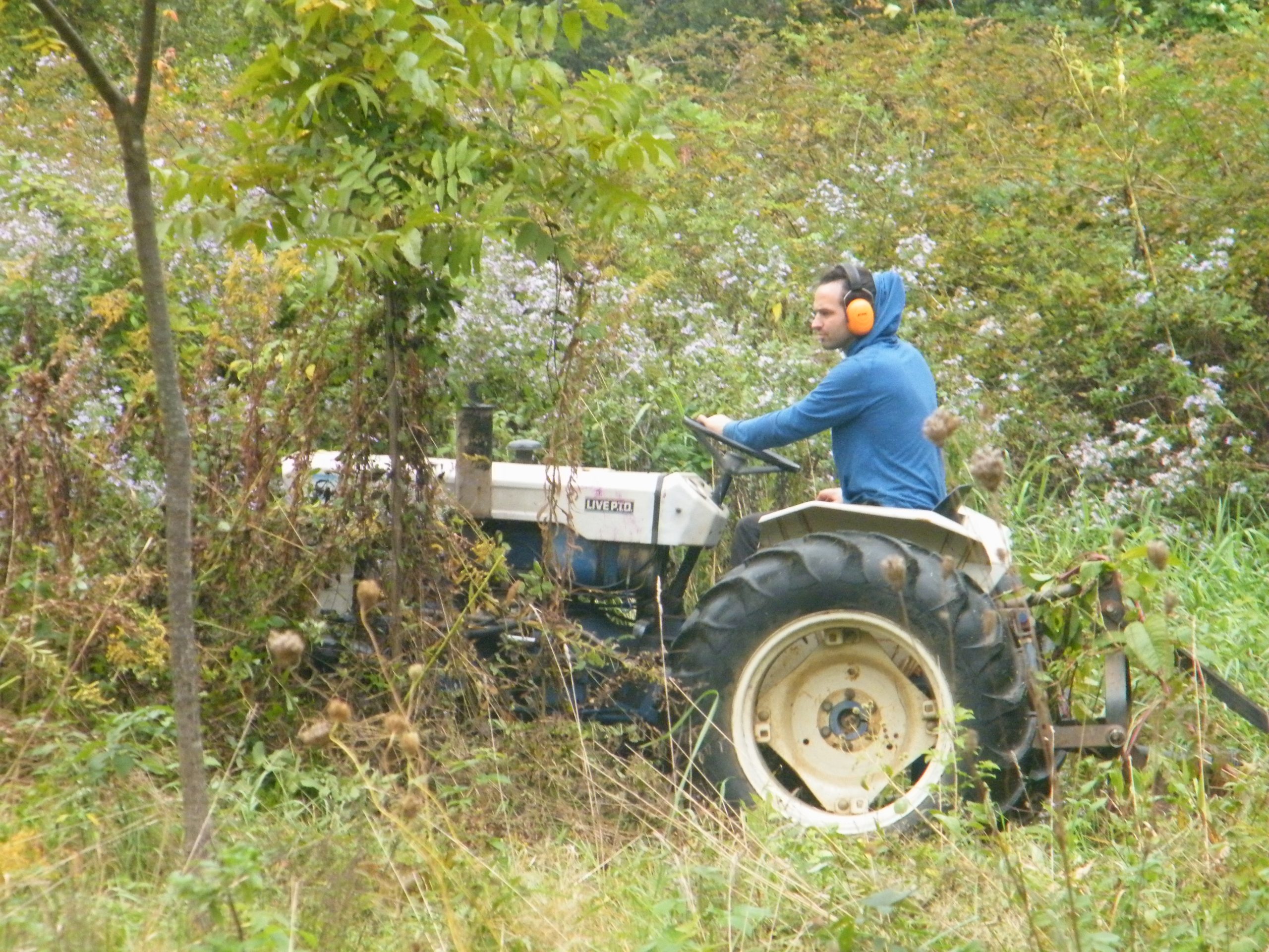 Man in blue sweatshirt drives a seated mower through brush