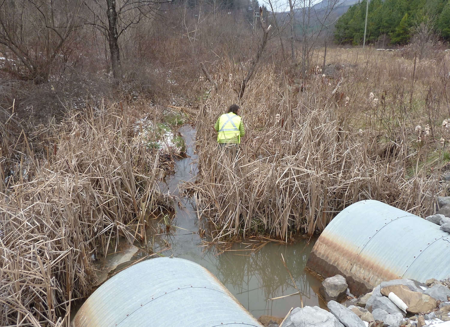 man in green jacket stands in tall grass near small waterway flowing from two large pipes