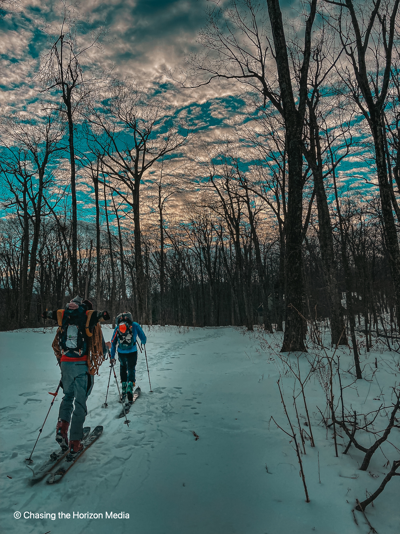 two skiers face away from the camera, traveling on a flat, snowy surface with bare trees ahead