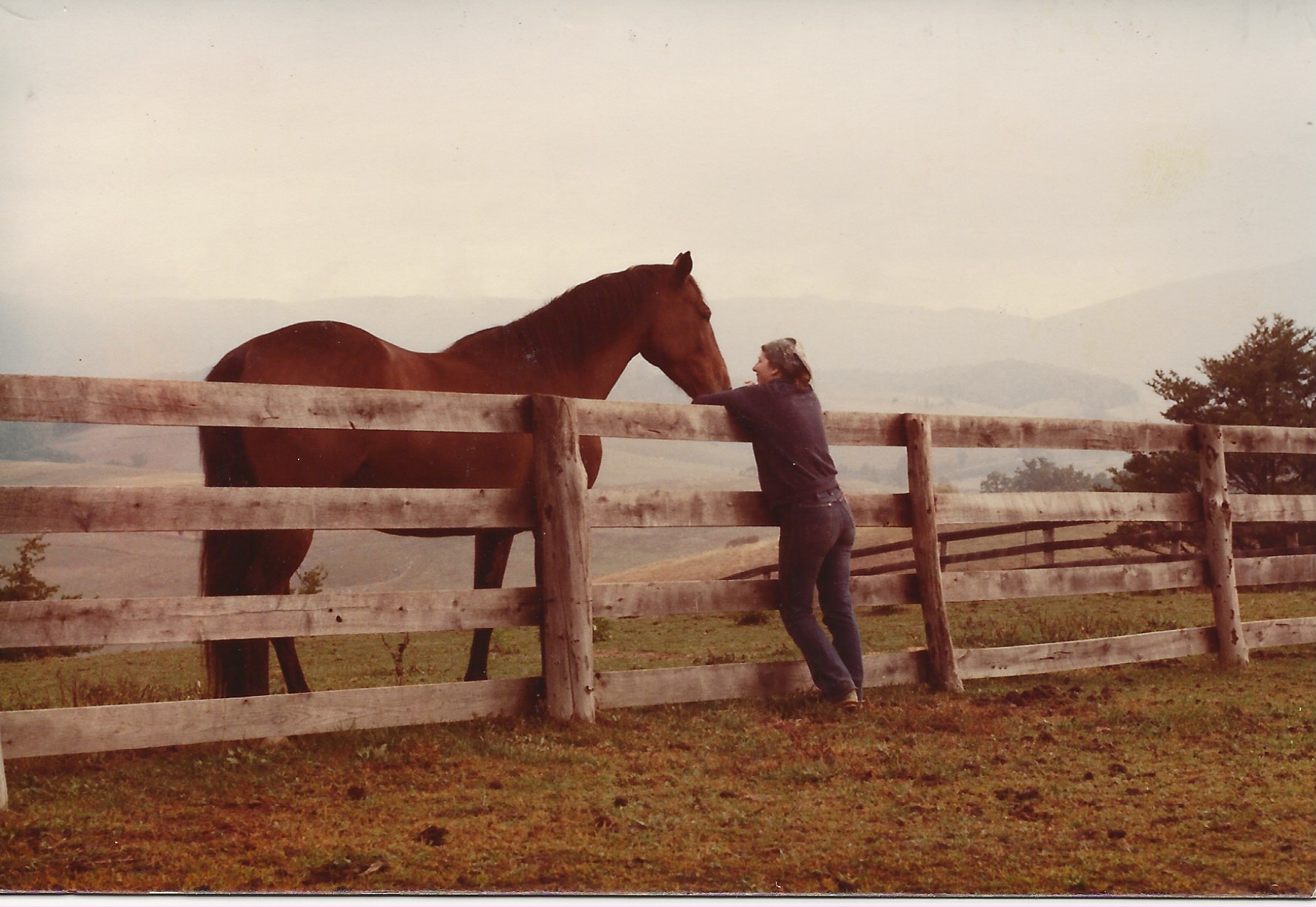 Donna Pitt has raised generations of livestock at her Virginia home near Clover Hollow Valley where she appears here with her Irish mare, Kilkee, in the 1990s. Photo courtesy of Donna Pitt.