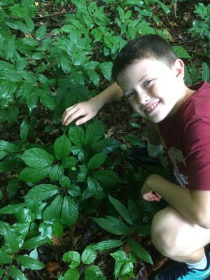 boy smiles with face near ginseng plants